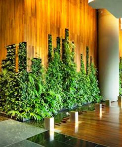 دیوار سبز GW37 Green wall