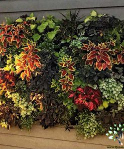 دیوار سبز GW40 Green wall