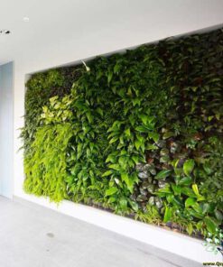 دیوار سبز GW44 Green wall