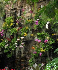 دیوار سبز GW45 Green wall