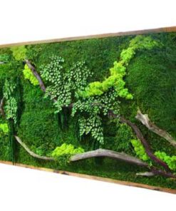 دیوار سبز GW47 Green wall
