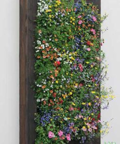 دیوار سبز GW5 Green wall