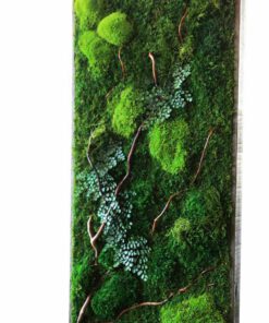 دیوار سبز GW51 Green wall