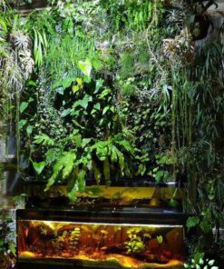دیوار سبز GW52 Green wall