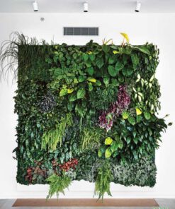 دیوار سبز GW53 Green wall
