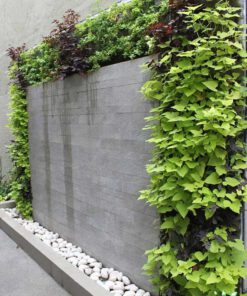 دیوار سبز GW56 Green wall