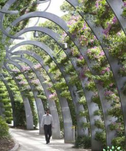 دیوار سبز GW57 Green wall