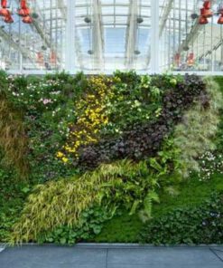 دیوار سبز GW58 Green wall