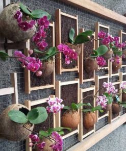 دیوار سبز GW6 Green wall