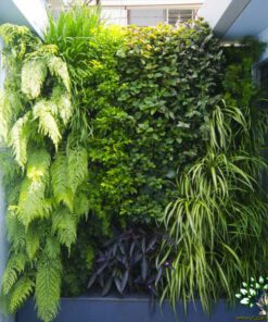 دیوار سبز GW64 Green wall