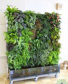 دیوار سبز GW65 Green wall