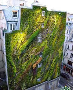 دیوار سبز GW69 Green wall