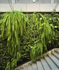 دیوار سبز GW70 Green wall
