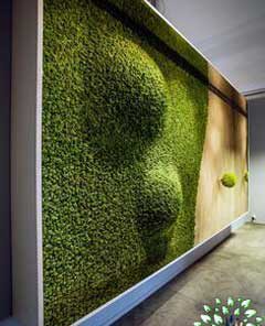 دیوار سبز GW76 Green wall