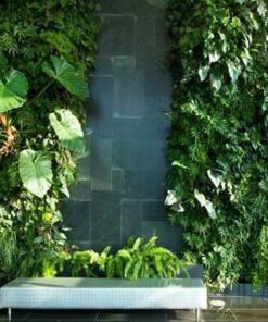 دیوار سبز GW78 Green wall