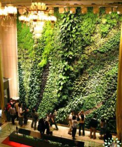 دیوار سبز GW8 Green wall