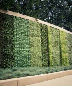 دیوار سبز GW80 Green wall