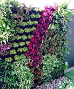 دیوار سبز GW81 Green wall