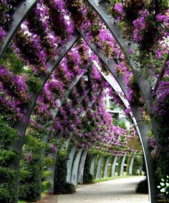 دیوار سبز GW87 Green wall