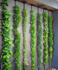 دیوار سبز GW89 Green wall