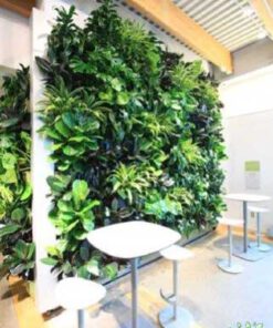 دیوار سبز GW9 Green wall