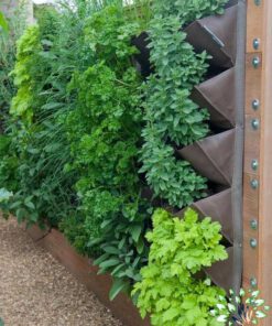 دیوار سبز GW92 Green wall
