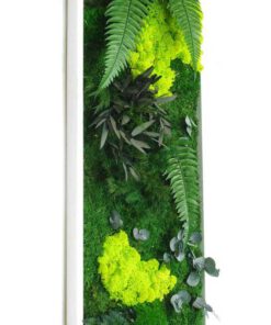دیوار سبز GW94 Green wall