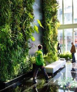 دیوار سبز GW96 Green wall