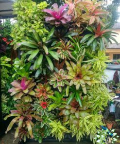 دیوار سبز GW97 Green wall