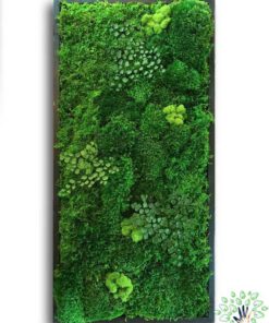 دیوار سبز GW99 Green wall