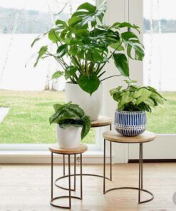 استند زمینی فلزی MGS83 Metal ground stand