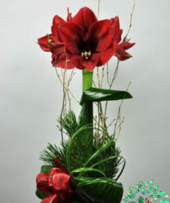 سبد گل طبیعی NFB54 Natural Flower Basket