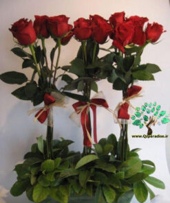 سبد گل طبیعی NFB55 Natural Flower Basket