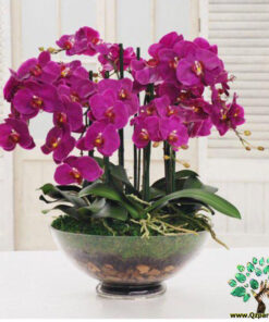 سبد گل طبیعی NFB59 Natural Flower Basket