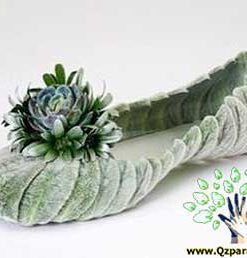 کفش عروس FS55 Flower-shoes