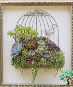 دیش گاردن NGD17 Natural garden dash