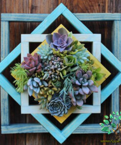 دیش گاردن NGD23 Natural garden dash