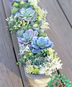 دیش گاردن NGD26 Natural garden dash