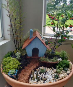 دیش گاردن NGD27 Natural garden dash