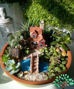 دیش گاردن NGD31 Natural garden dash