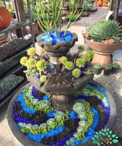 دیش گاردن NGD35 Natural garden dash