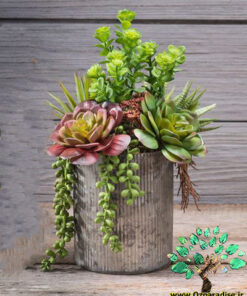 دیش گاردن NGD37 Natural garden dash