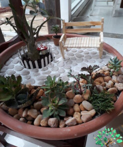 دیش گاردن NGD39 Natural garden dash