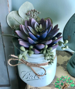 دیش گاردن NGD40 Natural garden dash