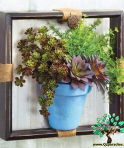 دیش گاردن NGD42 Natural garden dash