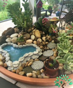 دیش گاردن NGD43 Natural garden dash