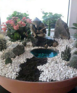 دیش گاردن NGD44 Natural garden dash