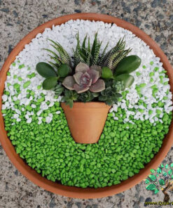 دیش گاردن NGD5 Natural garden dash