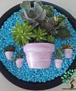 دیش گاردن NGD50 Natural garden dash