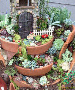 دیش گاردن NGD59 Natural garden dash